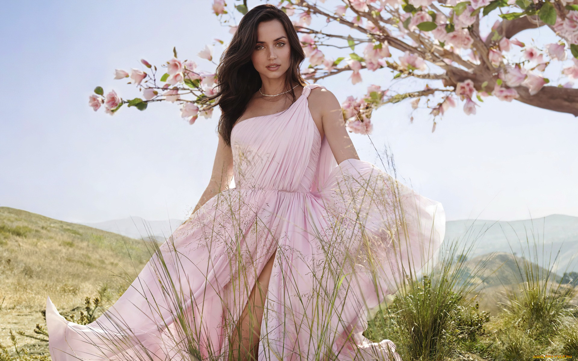 , ana de armas, 